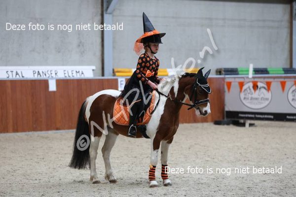 IMG_2017